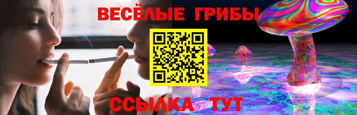 Галлюциногенные грибы MAGIC MUSHROOMS  Вход с VPN  Тулун  Галлюциногенные грибы ЛСД 
