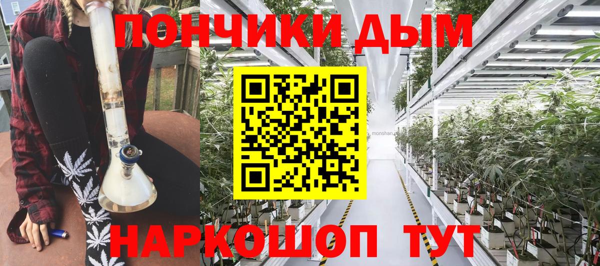Бошки Шишки марихуана Тулун